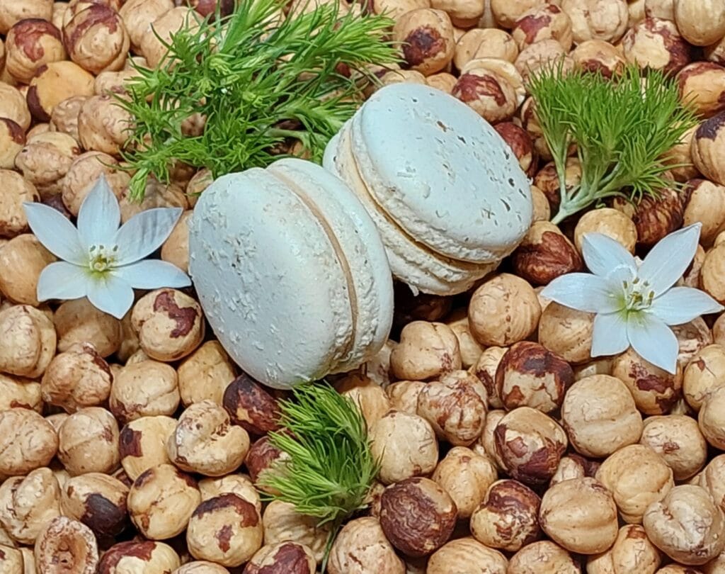 Macarons aux pralinés